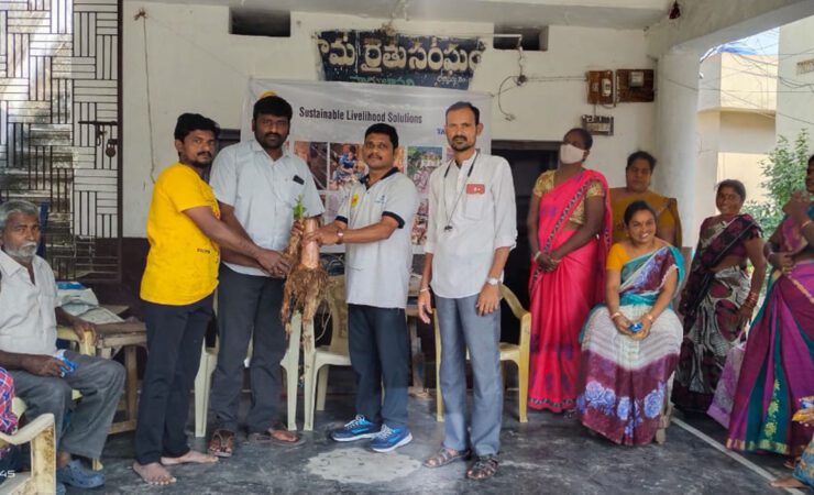 Banana-Plantation-Training-Vizag-740x450-1_
