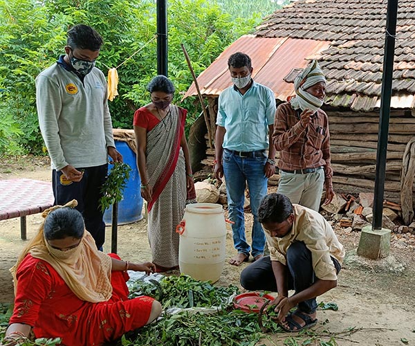 Livelihood-1