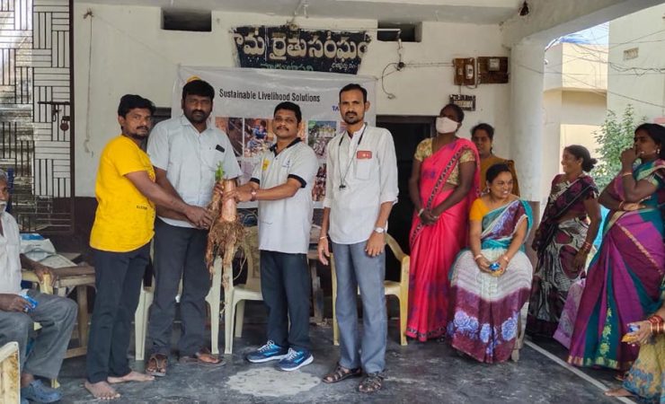 TPL-Livelihood-9-740x450